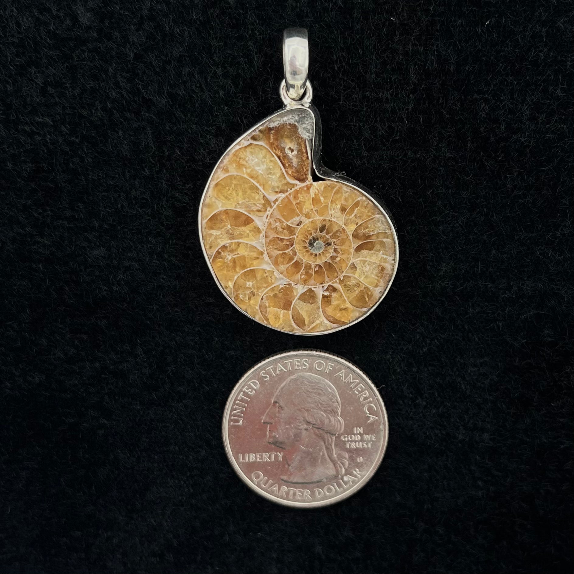 Ammonite Pendant