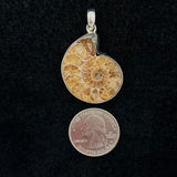 Ammonite Pendant