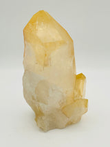 Golden Healer Lemurian