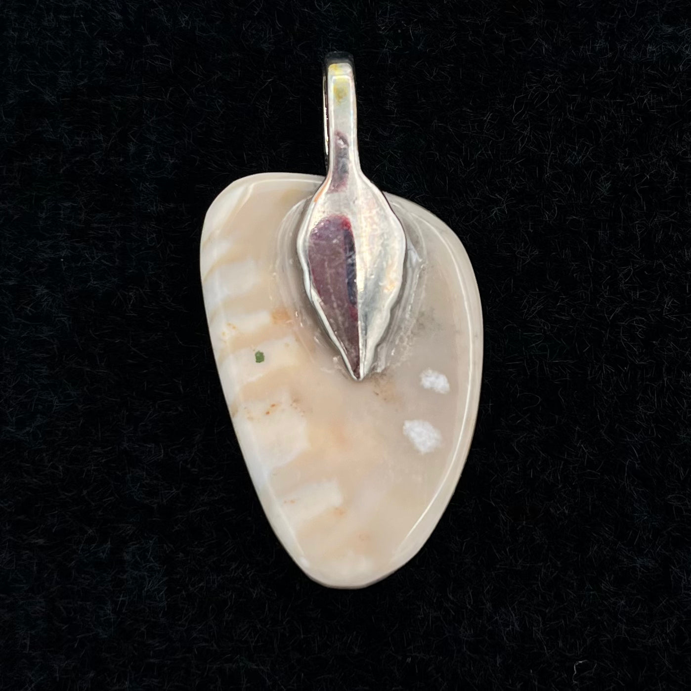 Fossilized Shell Pendant