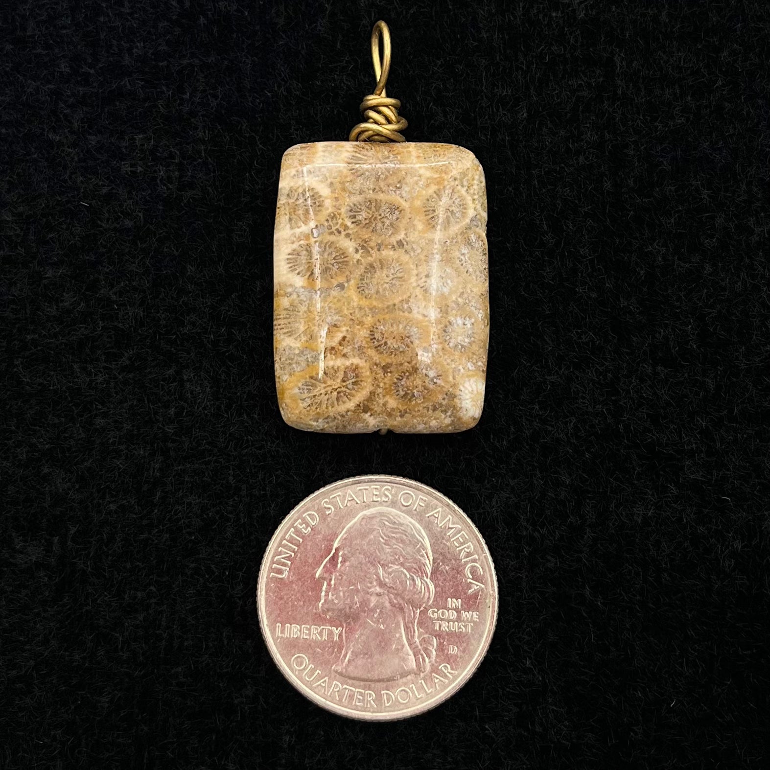 Fossilized Coral Pendant