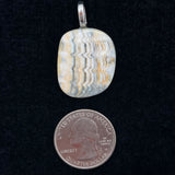 Fossilized Shell Pendant