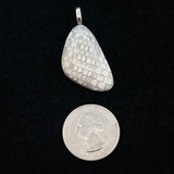 Fossilized Shell Pendant