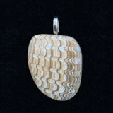 Fossilized Shell Pendant