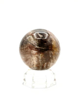 Petrified Wood Sphere