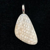 Fossilized Shell Pendant