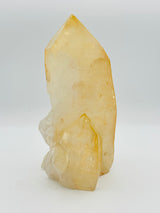 Golden Healer Lemurian