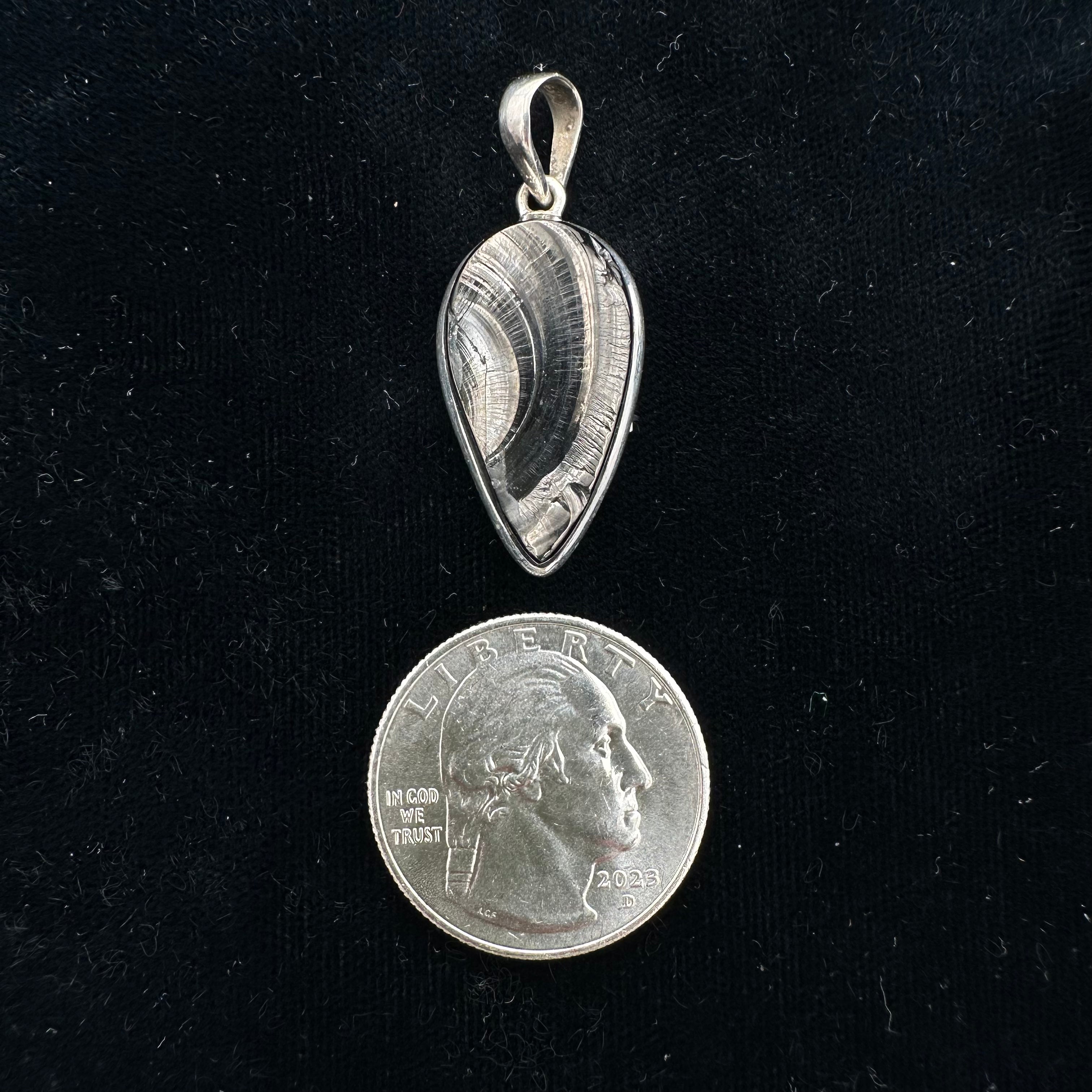 Shungite Pendant