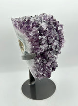 Amethyst Cluster in Stand