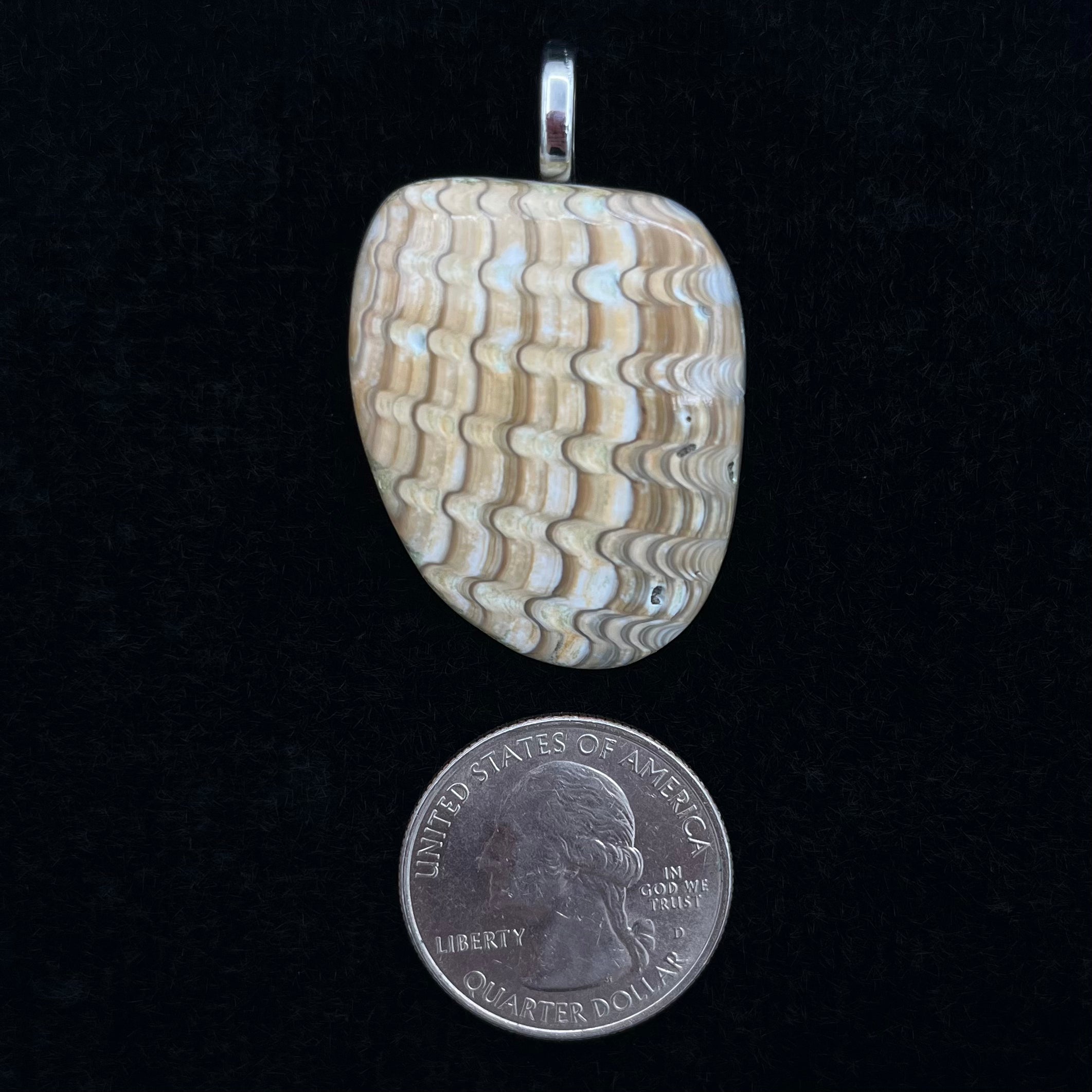 Fossilized Shell Pendant