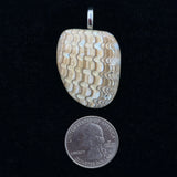 Fossilized Shell Pendant