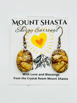 Picture Jasper Energy Earrings