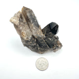 Smoky Quartz