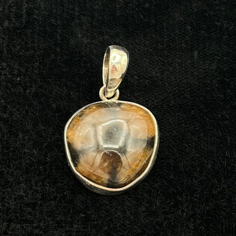 Chiastolite Pendant