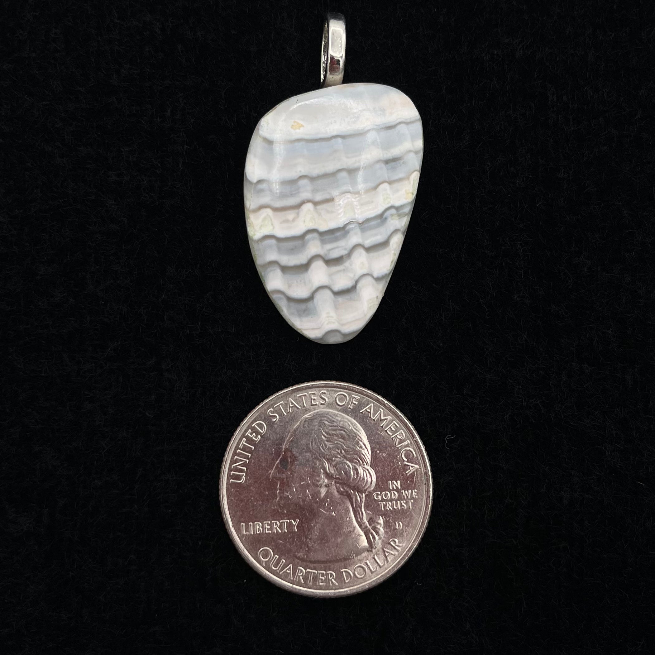 Fossilized Shell Pendant