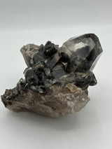 Clear Quartz Cluster with Black Chlorite